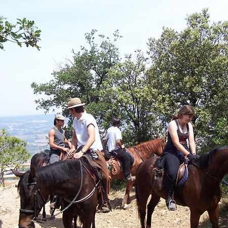 Hotel Rural Ocell Francoli Espluga de Francolí Dış mekan fotoğraf
